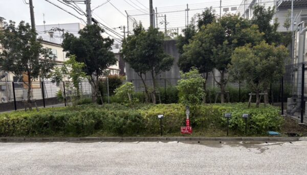除草作業を実施しました。
